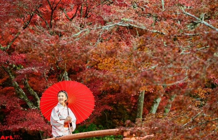 japonya sonbahar